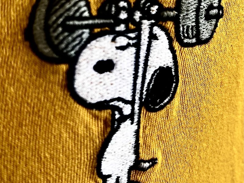Titelbild für Beitrag: Snoopy - So stark kann klein sein. Tatsächlich.